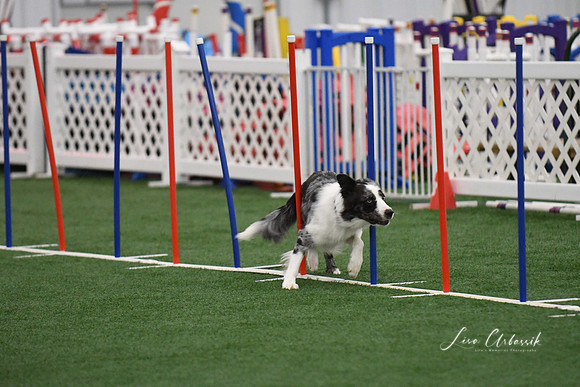 DigitalDSC_1687