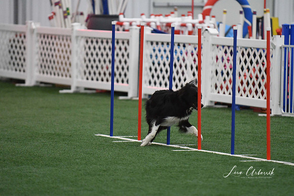 DigitalDSC_1732
