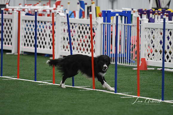 DigitalDSC_1736