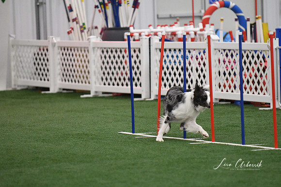DigitalDSC_1682