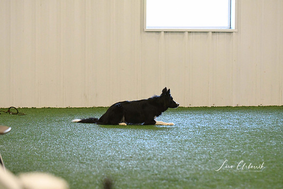DigitalDSC_1722