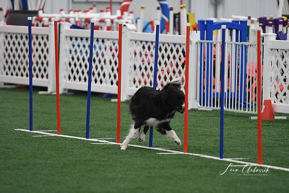 DigitalDSC_1735