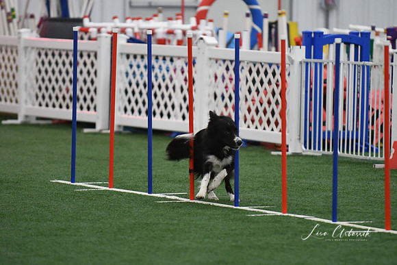 DigitalDSC_1734