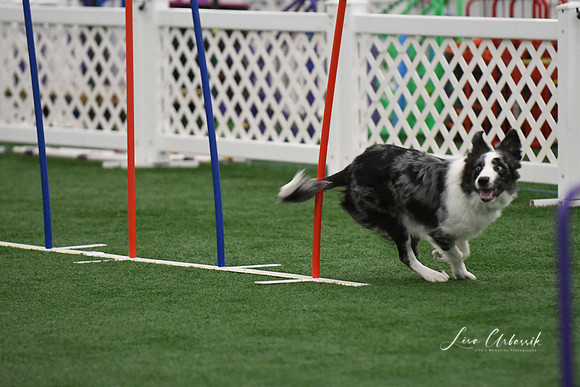 DigitalDSC_1695