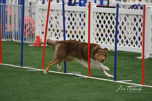 DigitalDSC_1714