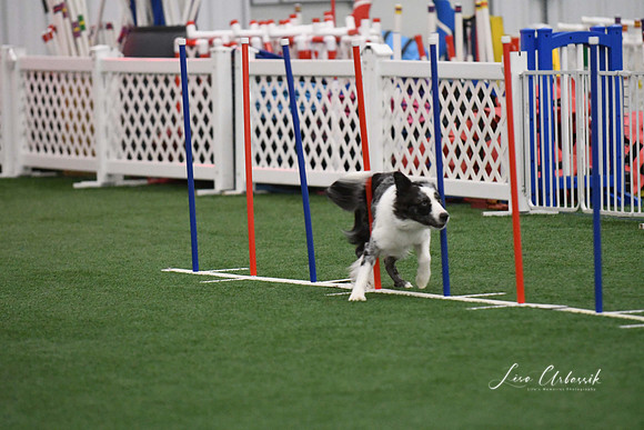 DigitalDSC_1684