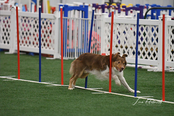 DigitalDSC_1711