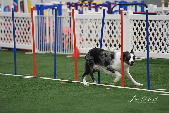 DigitalDSC_1691