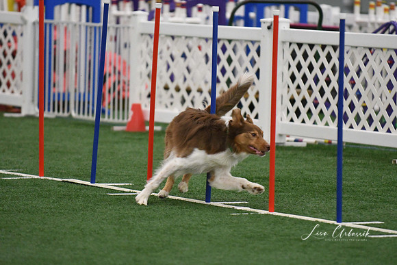DigitalDSC_1713