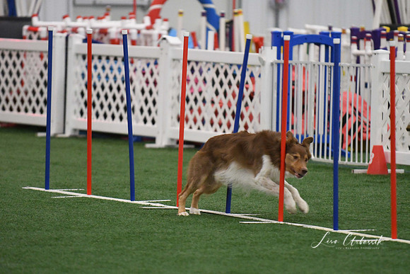 DigitalDSC_1708