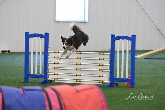 DigitalDSC_1636