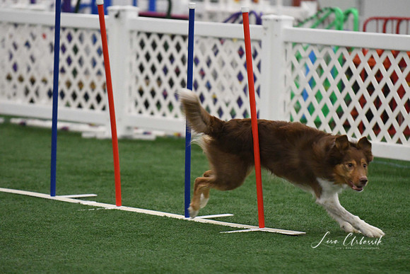 DigitalDSC_1717