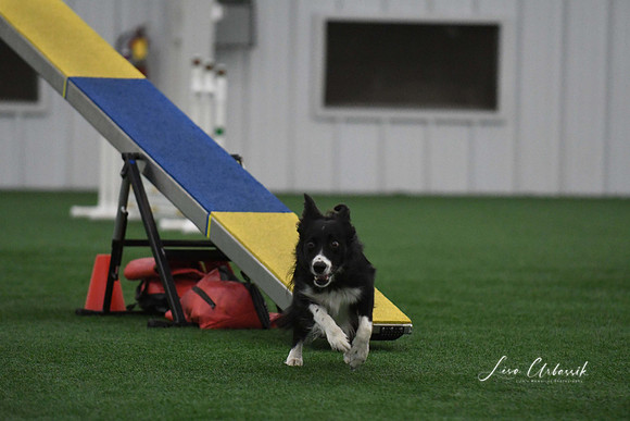 DigitalDSC_9032