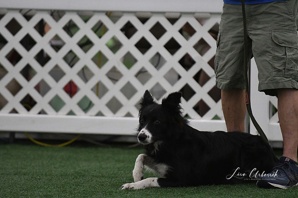 DigitalDSC_9018