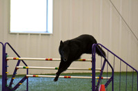 DigitalDSC_8977