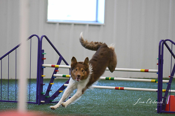DigitalDSC_9017