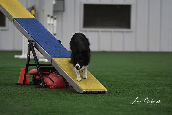 DigitalDSC_9029