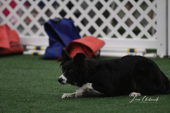 DigitalDSC_9023