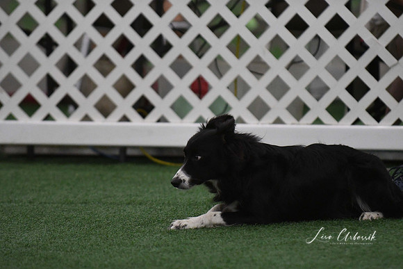 DigitalDSC_9020