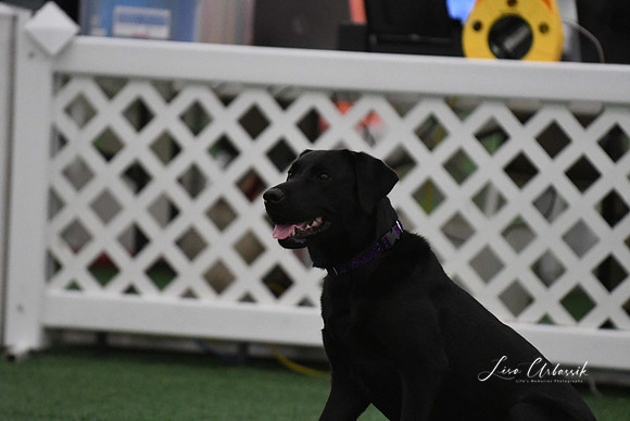 DigitalDSC_9037