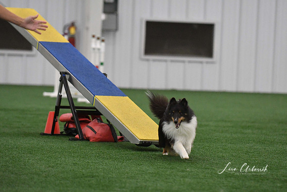 DigitalDSC_9095