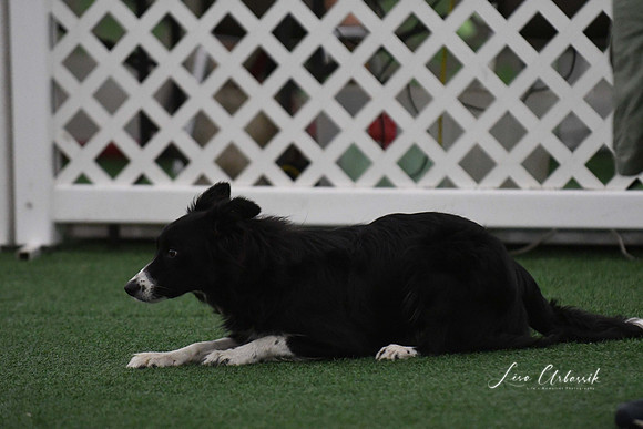 DigitalDSC_9022