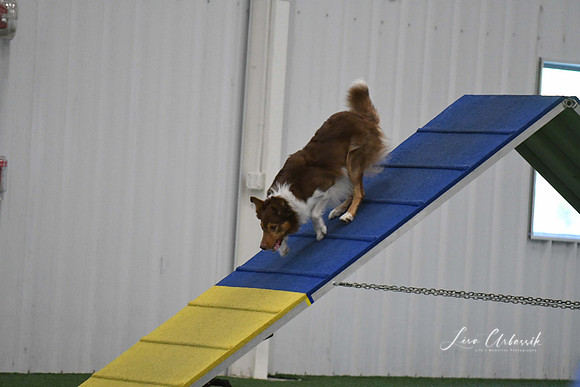DigitalDSC_9012