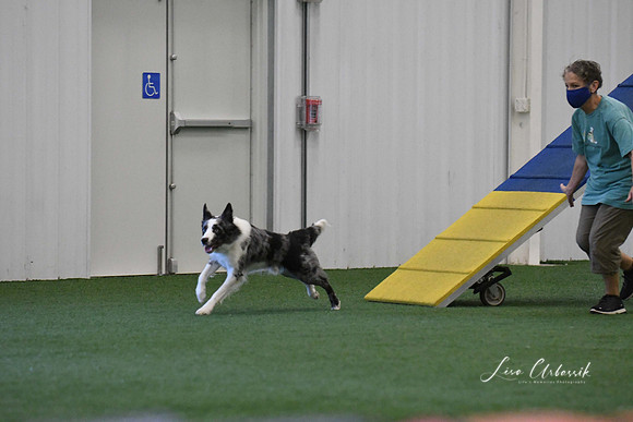 DigitalDSC_9000