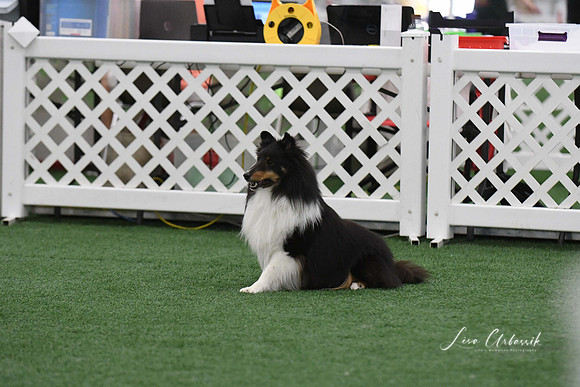 DigitalDSC_9088