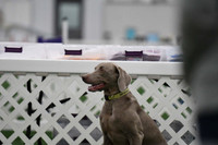 DigitalDSC_8979