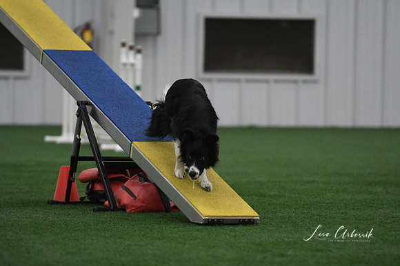 DigitalDSC_9028