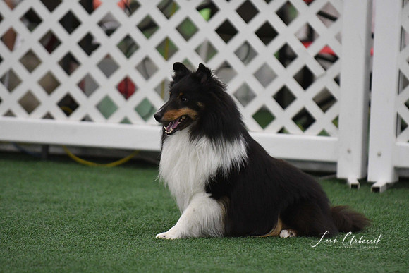 DigitalDSC_9086