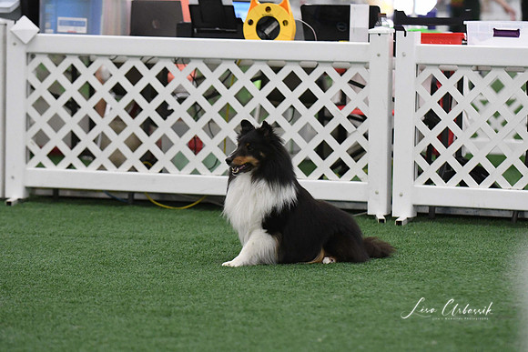 DigitalDSC_9087