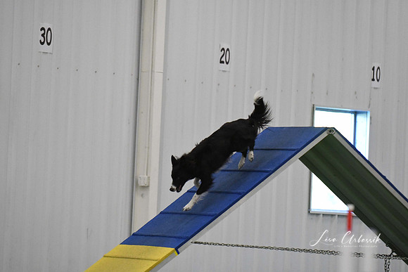 DigitalDSC_9033
