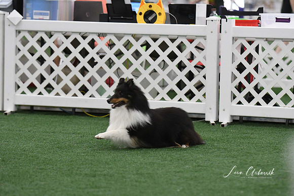 DigitalDSC_9089