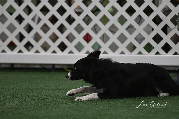 DigitalDSC_9021