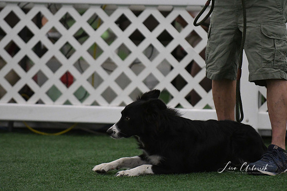 DigitalDSC_9019
