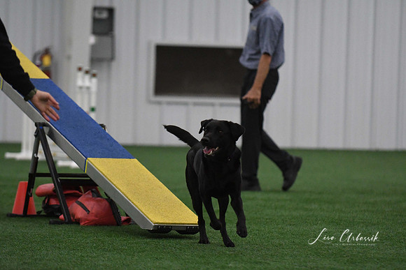 DigitalDSC_9043