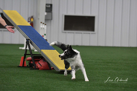 DigitalDSC_8992