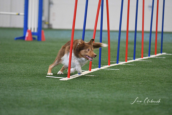DigitalDSC_1393