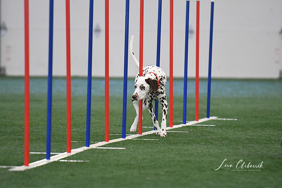 DigitalDSC_1320