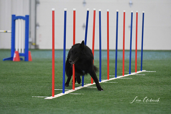 DigitalDSC_1302