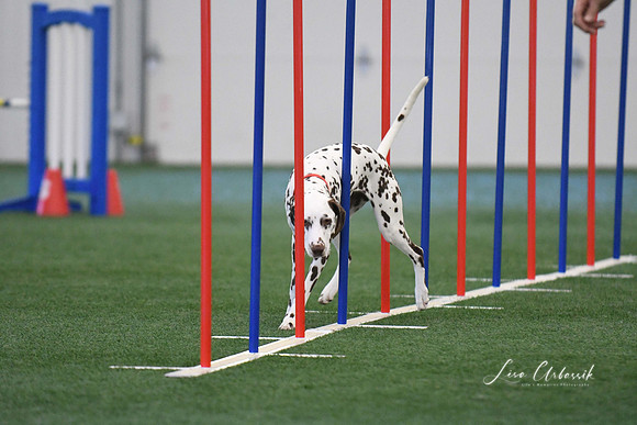 DigitalDSC_1325