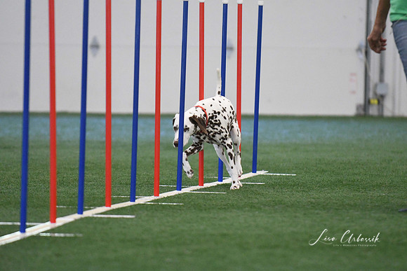DigitalDSC_1317