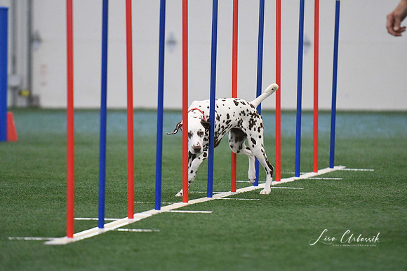 DigitalDSC_1321