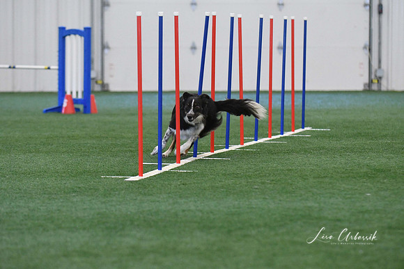 DigitalDSC_1347
