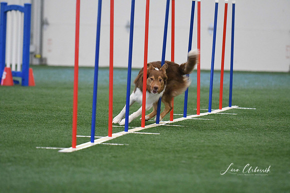 DigitalDSC_1387