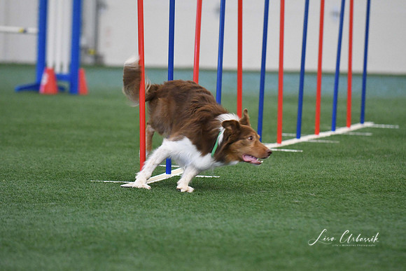 DigitalDSC_1394