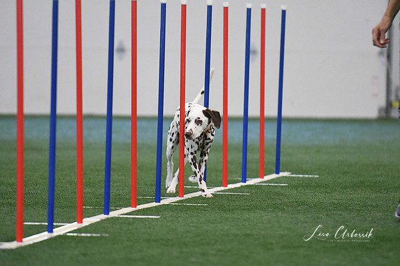 DigitalDSC_1319