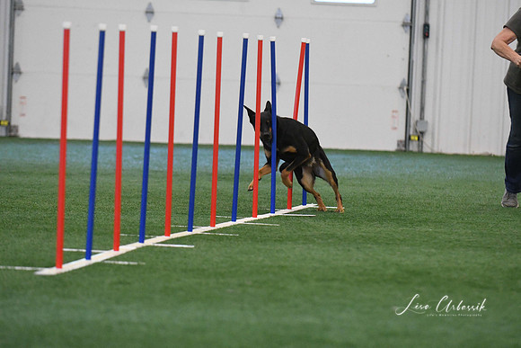 DigitalDSC_1405